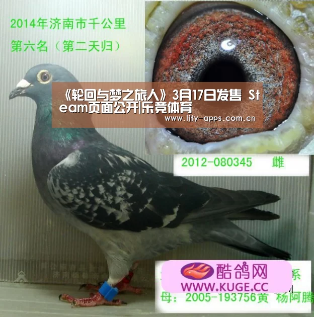 乐竞体育平台