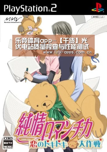 乐竞体育app-【干货】光伏电站质量检查与性能测试简介(上)(图2) 乐竞体育
