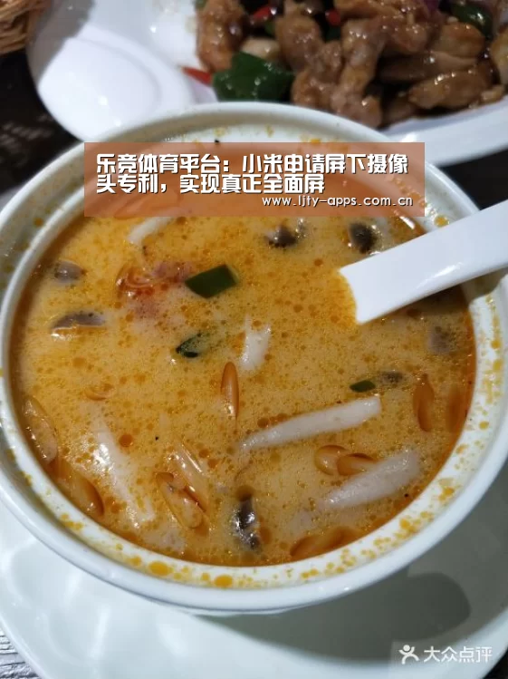 乐竞体育平台:小米申请屏下摄像头专利,实现真正全面屏(图1) 乐竞体育平台