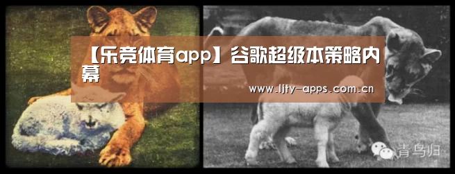 【乐竞体育app】谷歌超级本策略内幕(图3) 乐竞体育